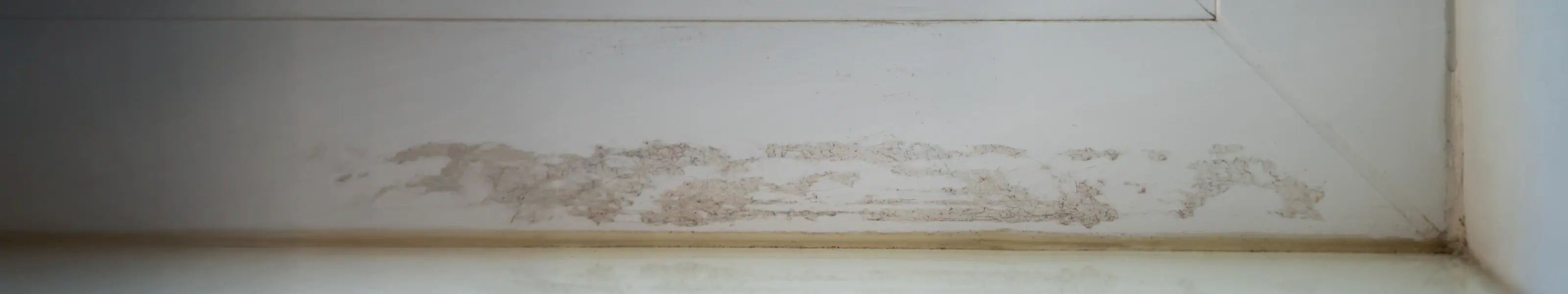 Klebereste & Rückstände