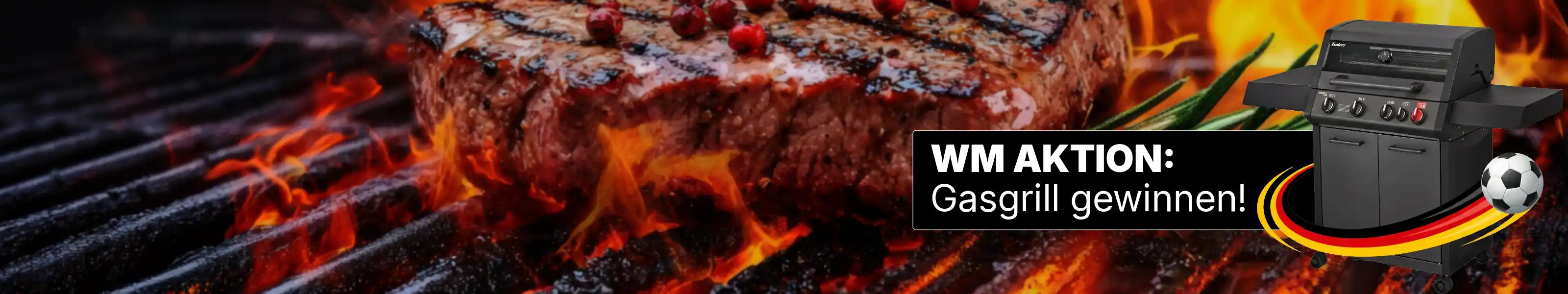 Grillreiniger bio-chem extra stark gegen Eingebranntes