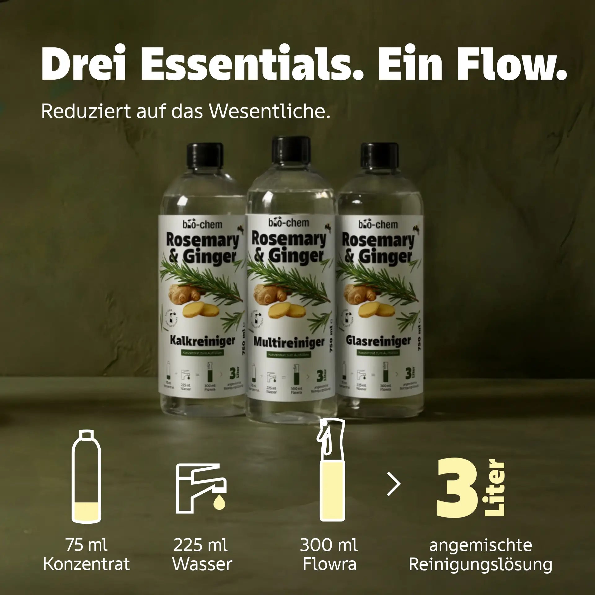 glasreiniger konzentrat rosmarin ingwer