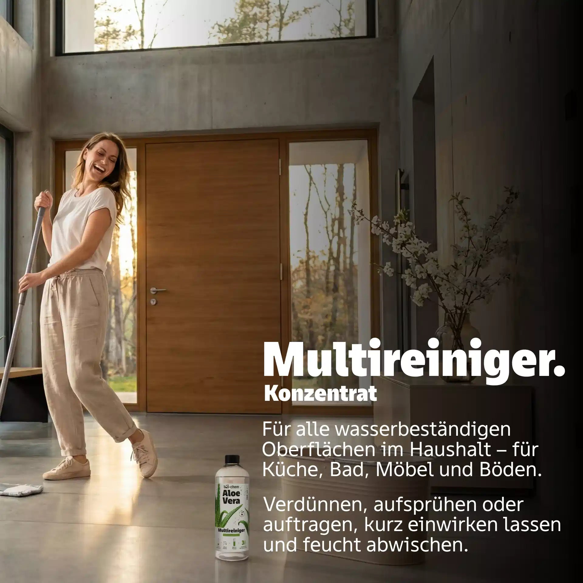 multireiniger flächenreiniger anwendung