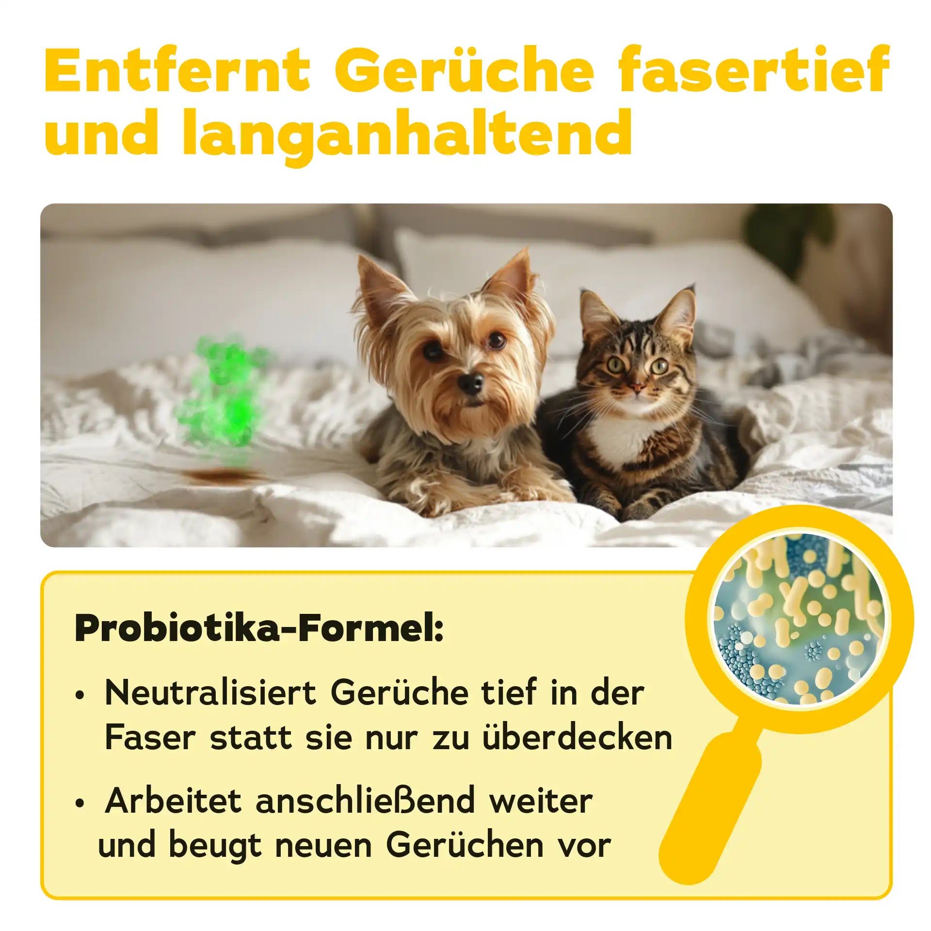 Grafik mit Hund und Katze auf Bett, Erklärung zur Probiotika-Formel, die Gerüche tief in der Faser neutralisiert und vorbeugt