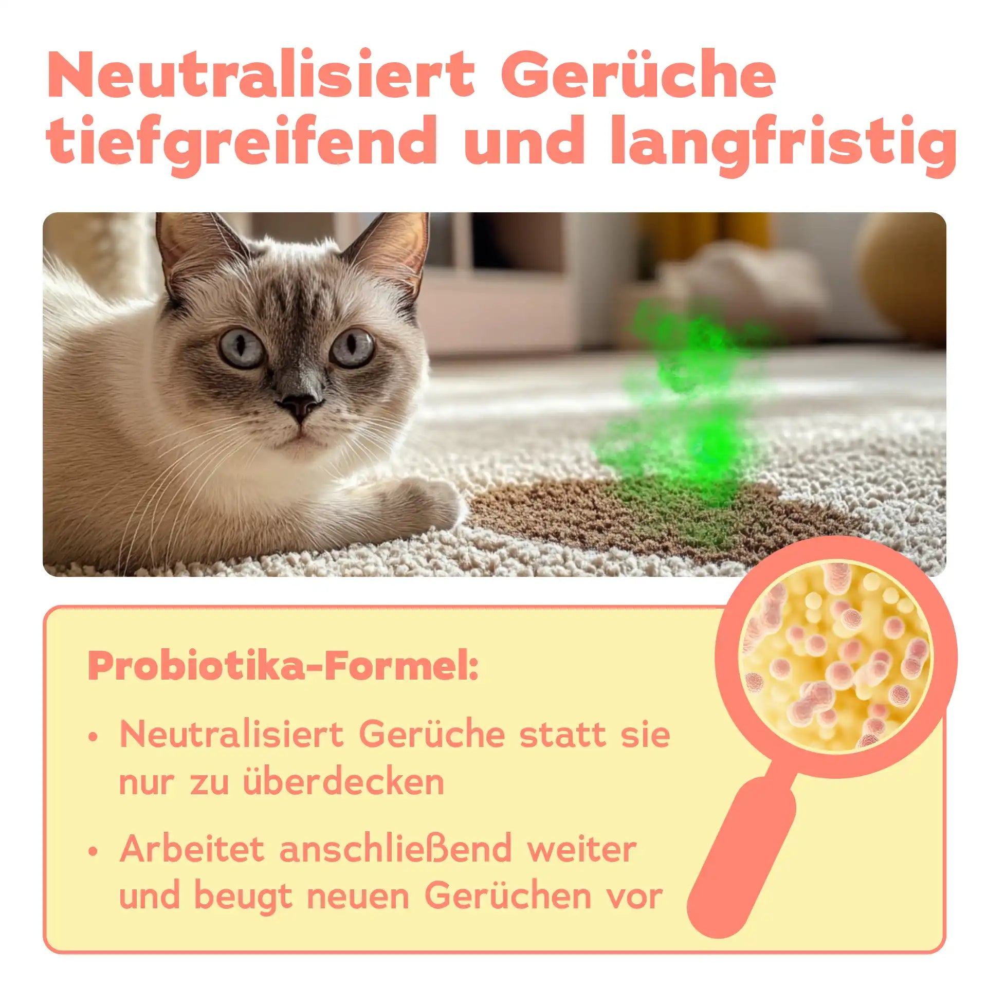 Geruchsentferner Katze (750 ML)