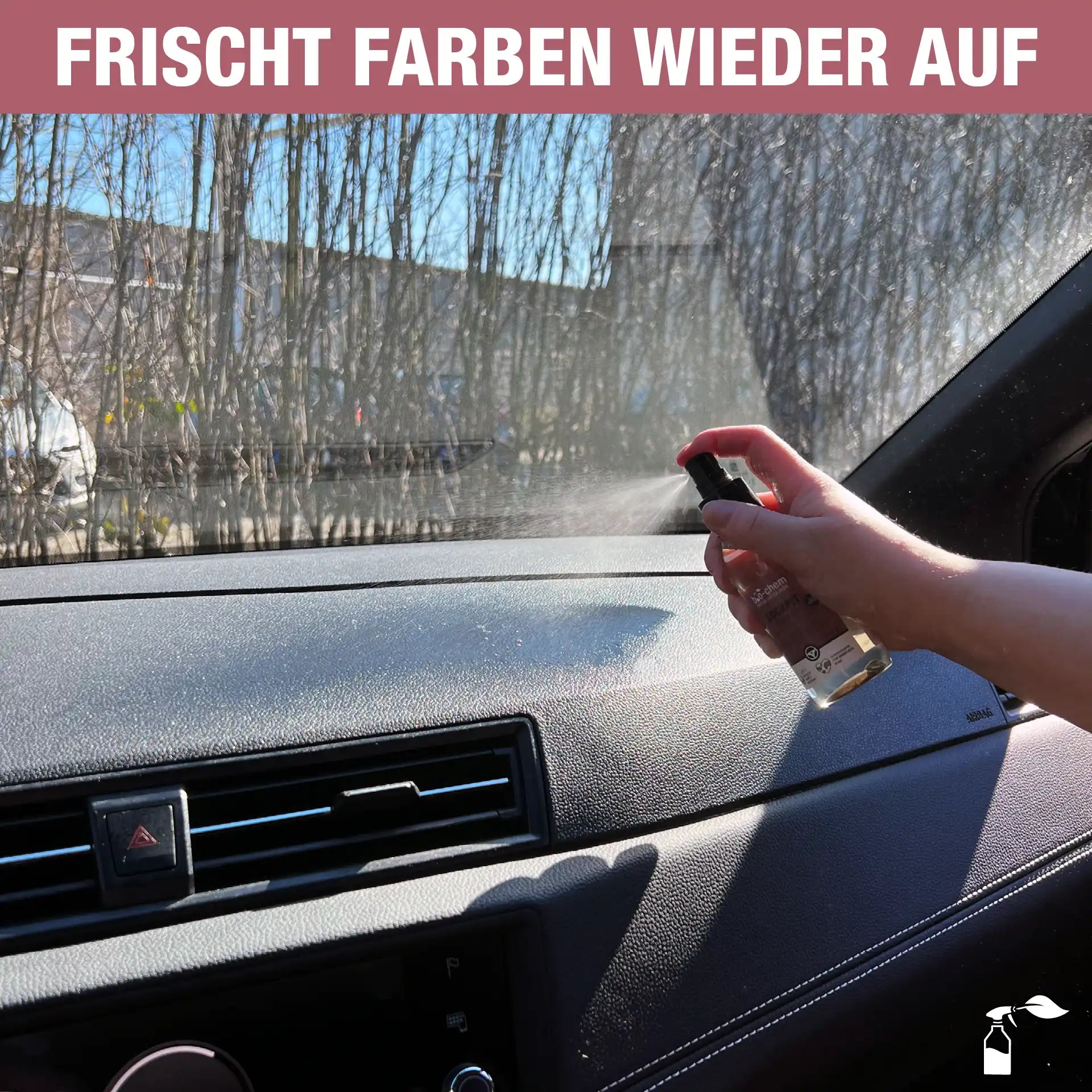 Cockpitreiniger (100 ML)