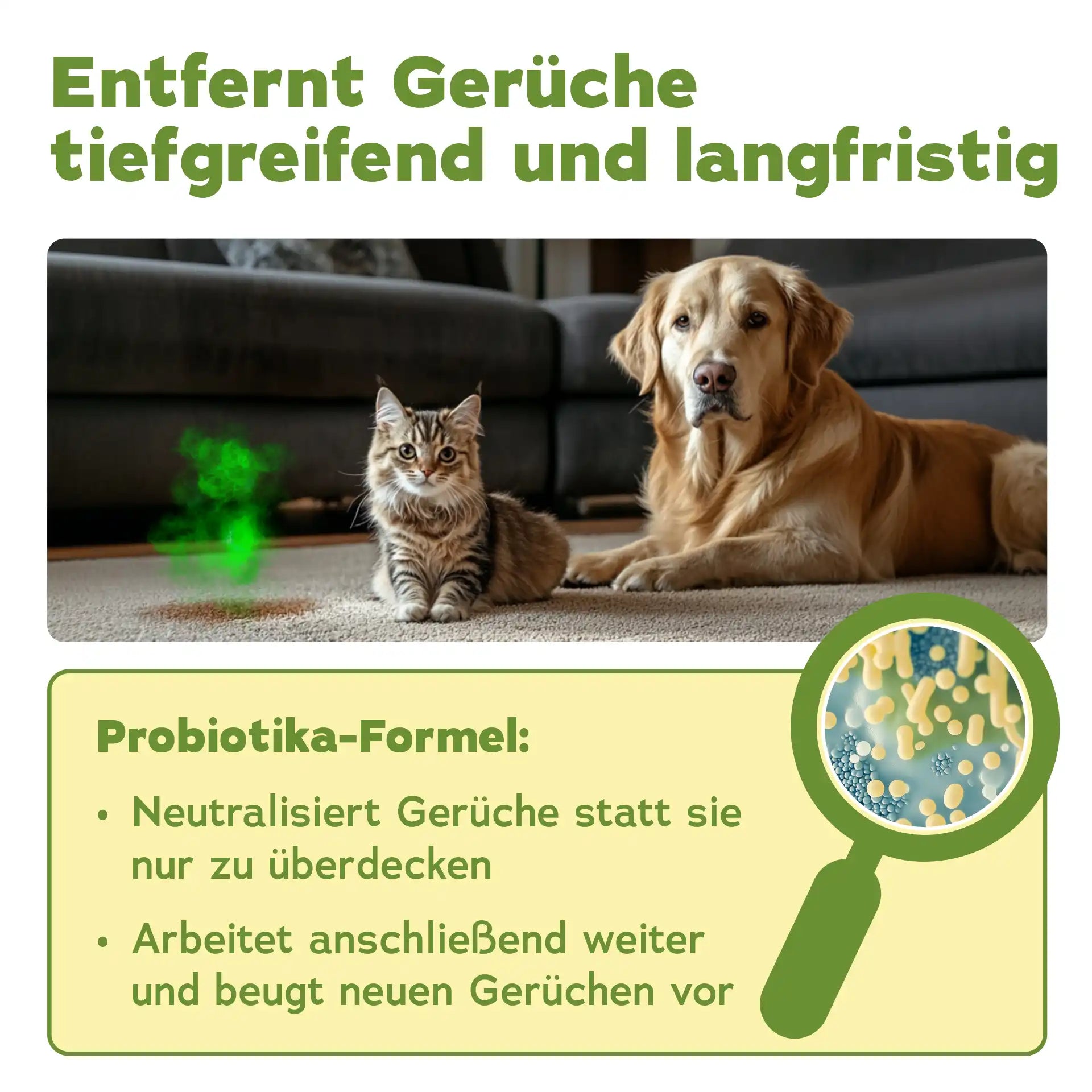 Enzymreiniger Konzentrat (1 L)