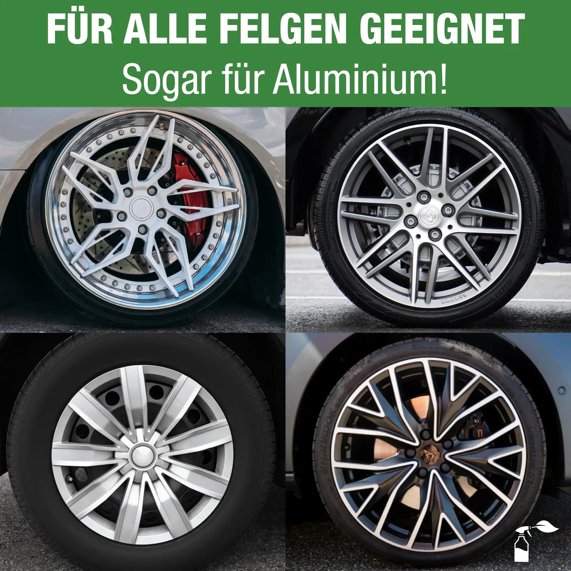 Felgenreiniger (750 ML)