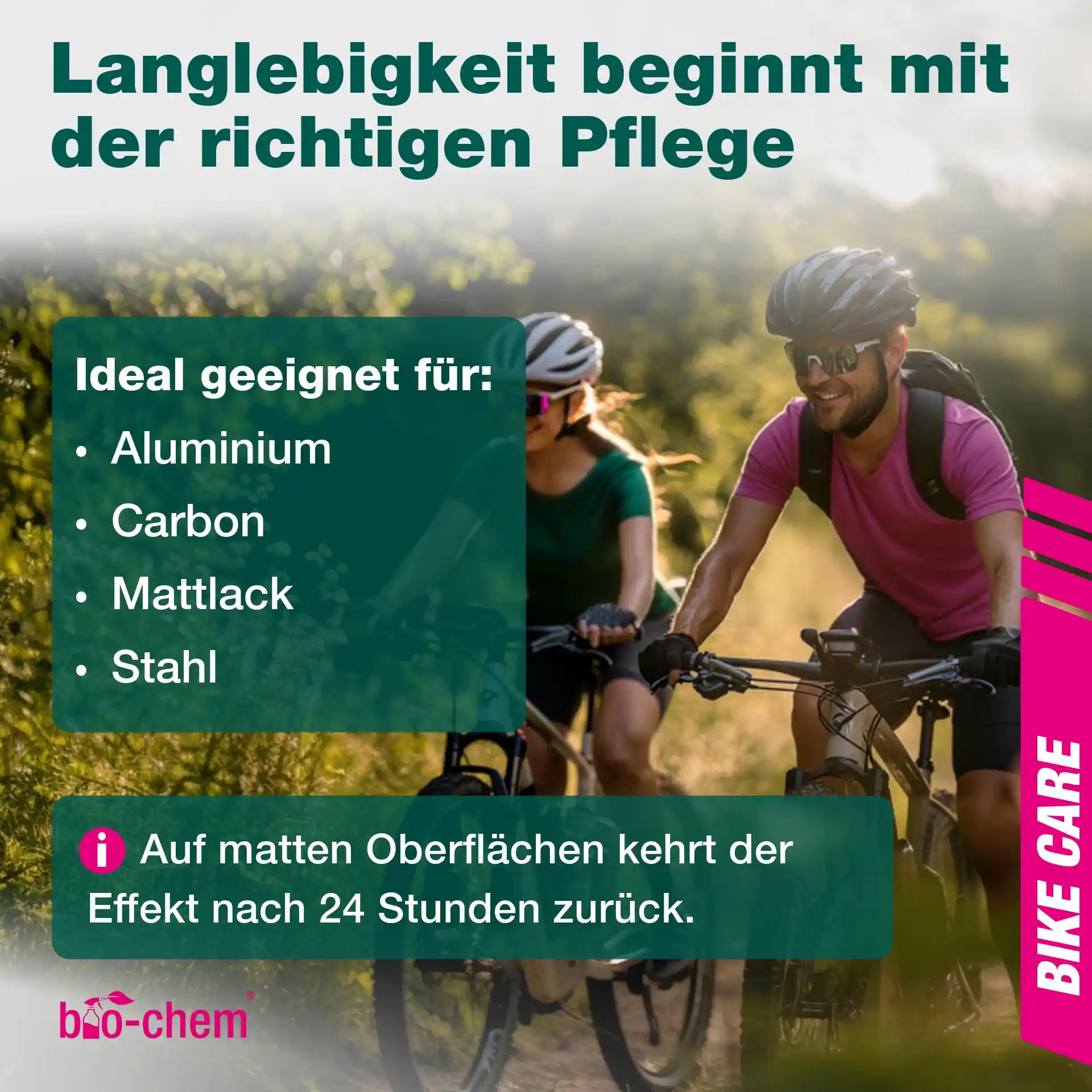 Rahmenpflege Fahrrad (100 ML)