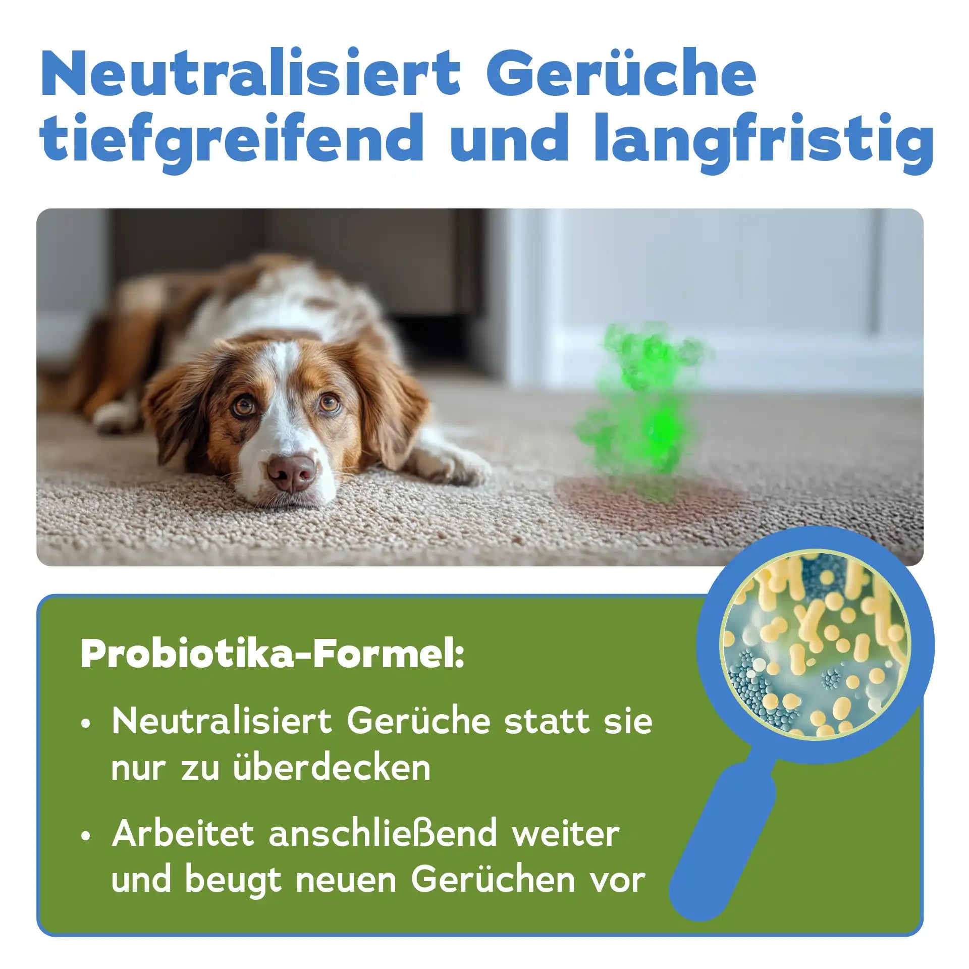 Enzymreiniger + Geruchsentferner Hund (DUO 2-teilig)