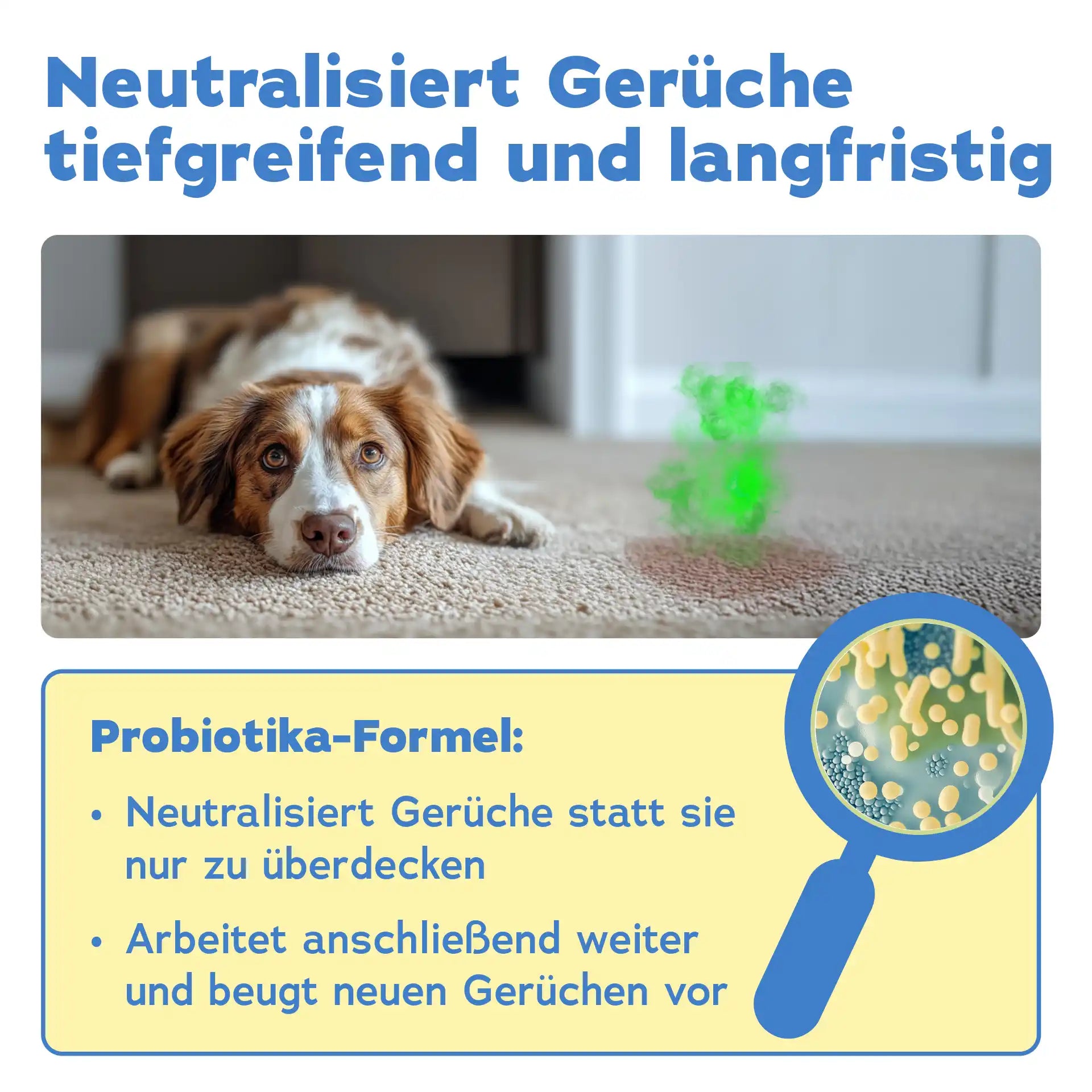 Geruchsentferner Hund + Wäschespülung (DUO 2-teilig)