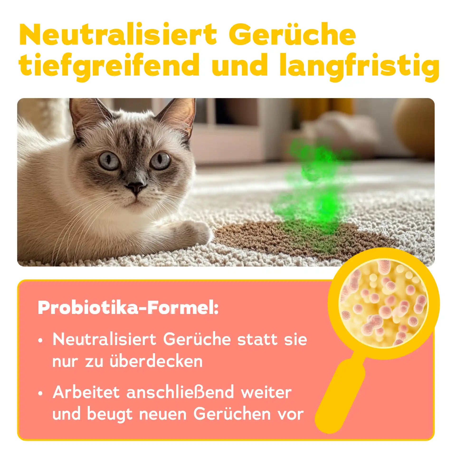 Geruchsentferner Katze + Wäschespülung (DUO 2-teilig)
