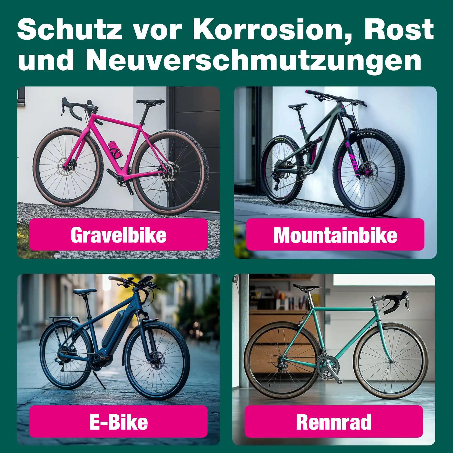 Rahmenpflege Fahrrad (100 ML)