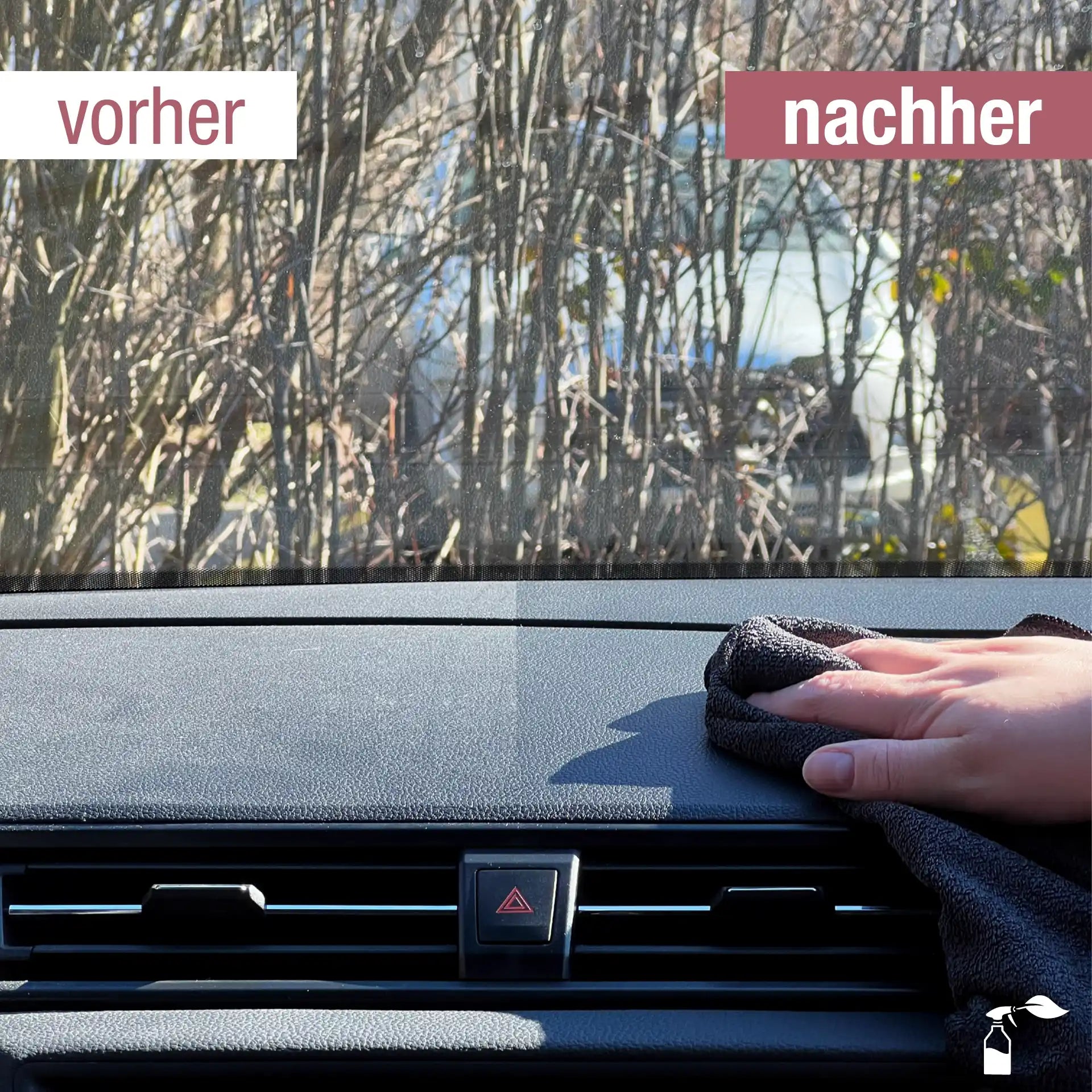 Cockpitreiniger (100 ML)