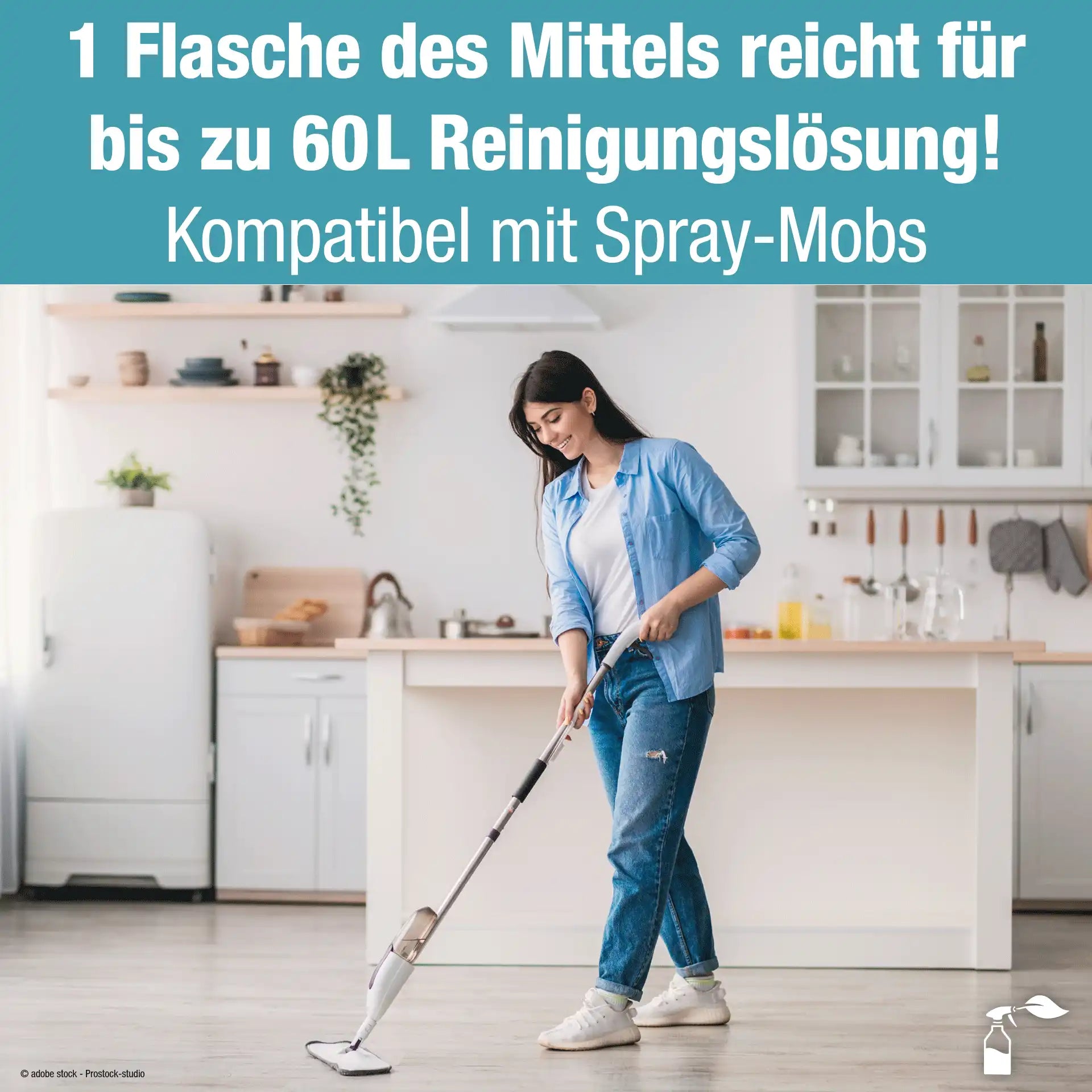 Vinylreiniger (750 ML)