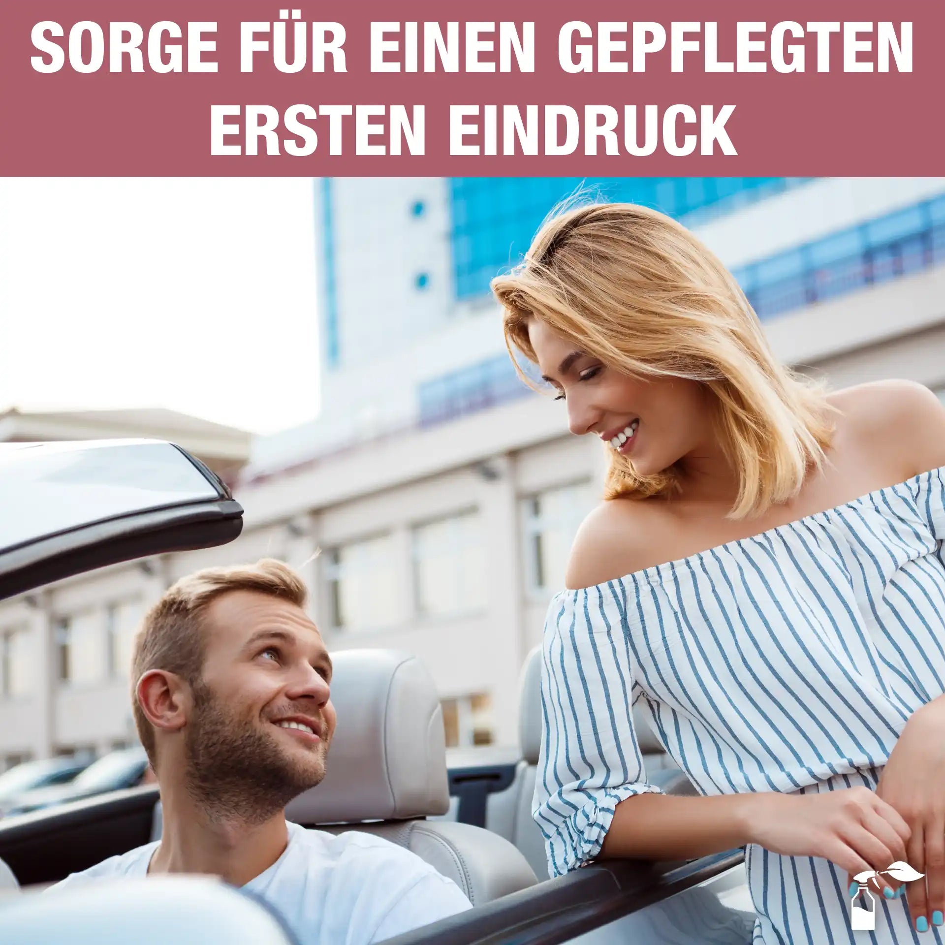 Cockpitreiniger (100 ML)