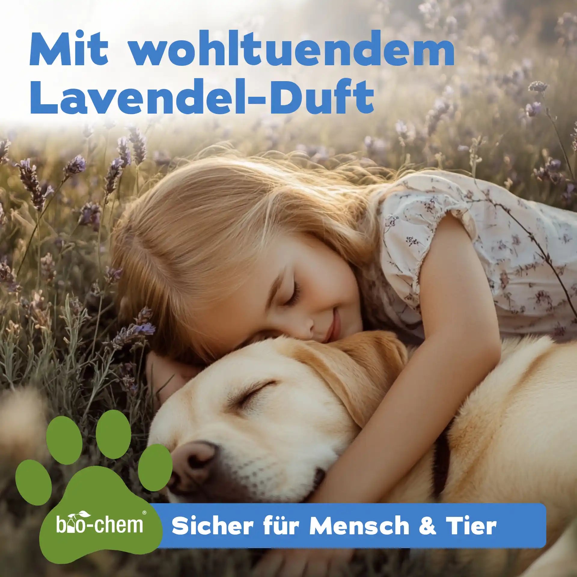 Enzymreiniger + Geruchsentferner Hund (DUO 2-teilig)