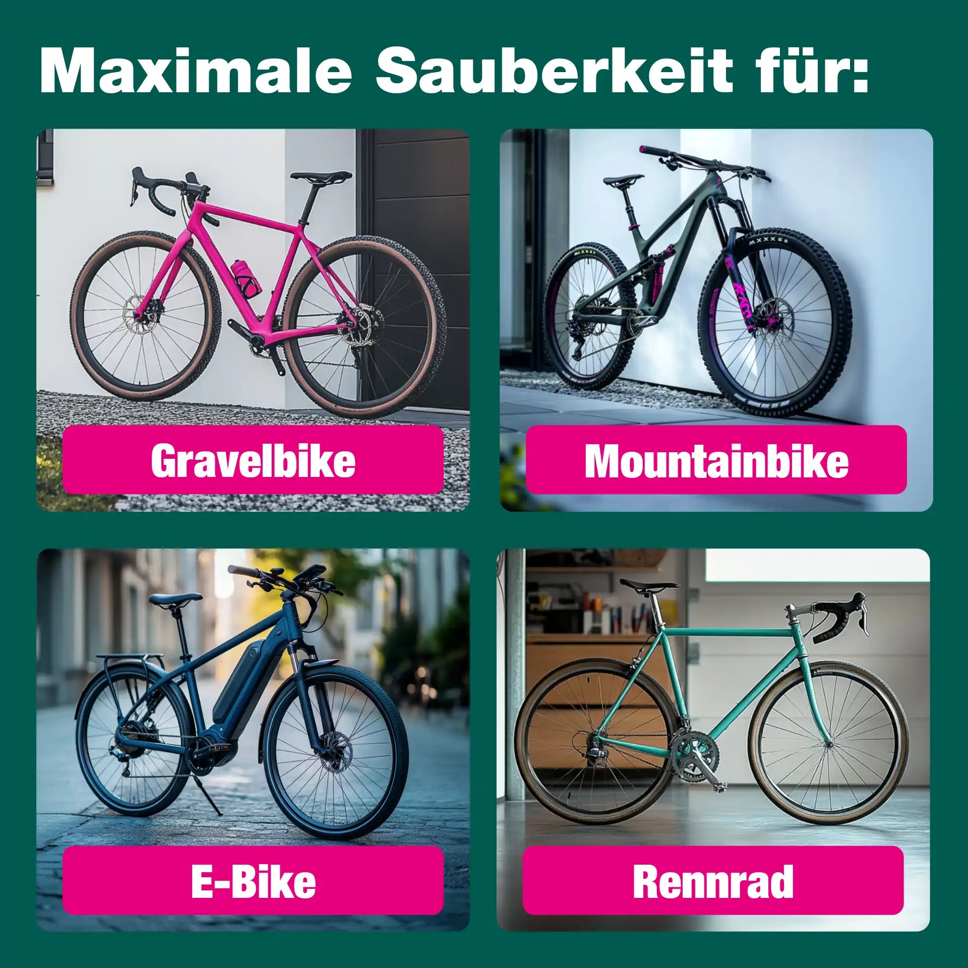 Fahrradreiniger (1 L)