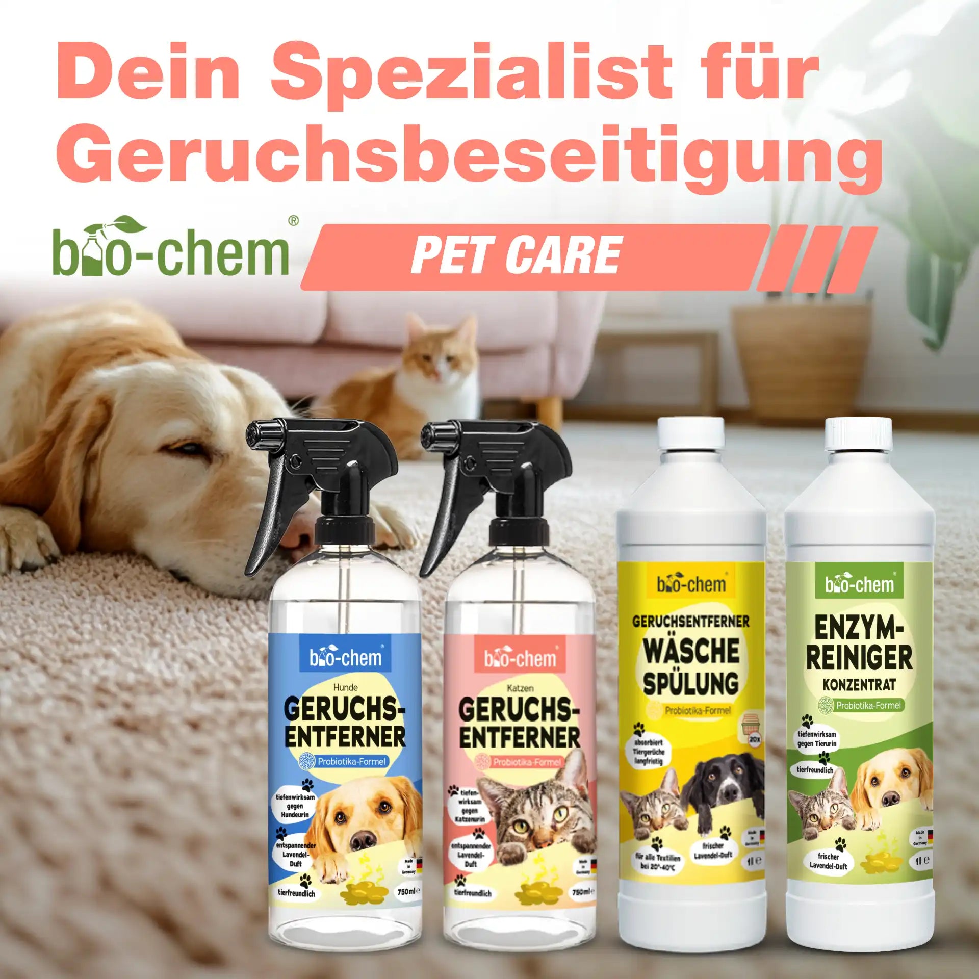 Enzymreiniger + Geruchsentferner Katze (DUO 2-teilig)