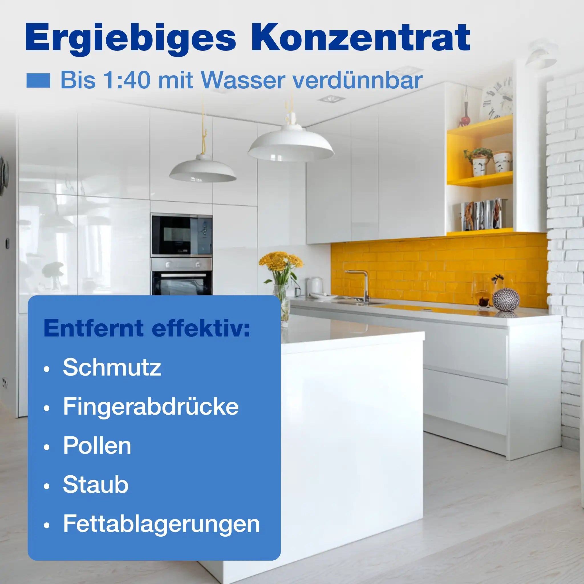 Allzweckreiniger (1 L + Mischflasche)