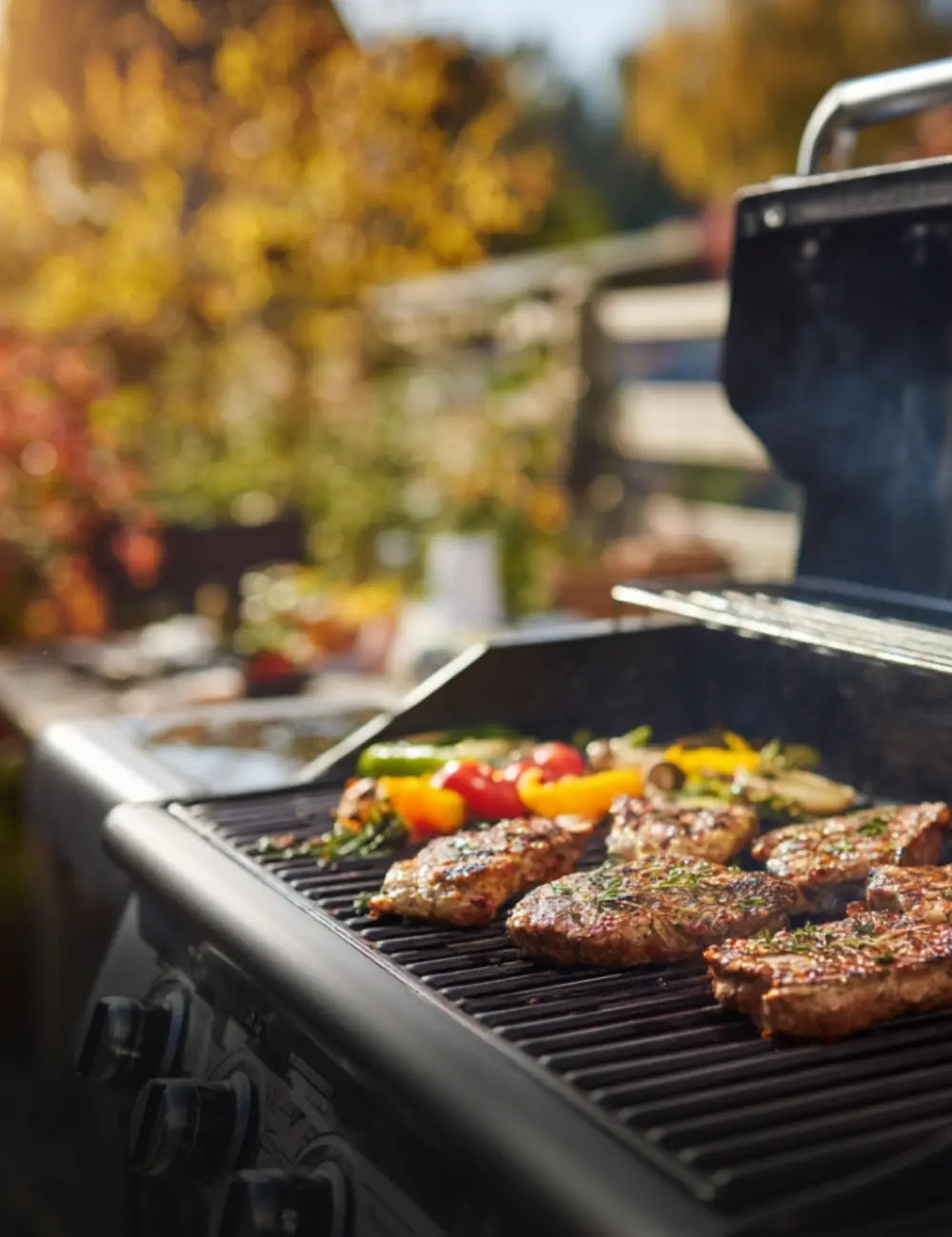 Kollektion Grillreiniger