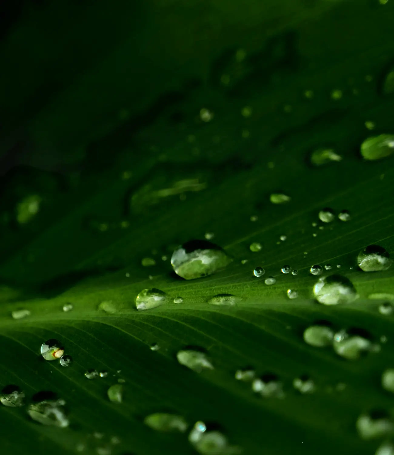 Herstellung Verantwortung