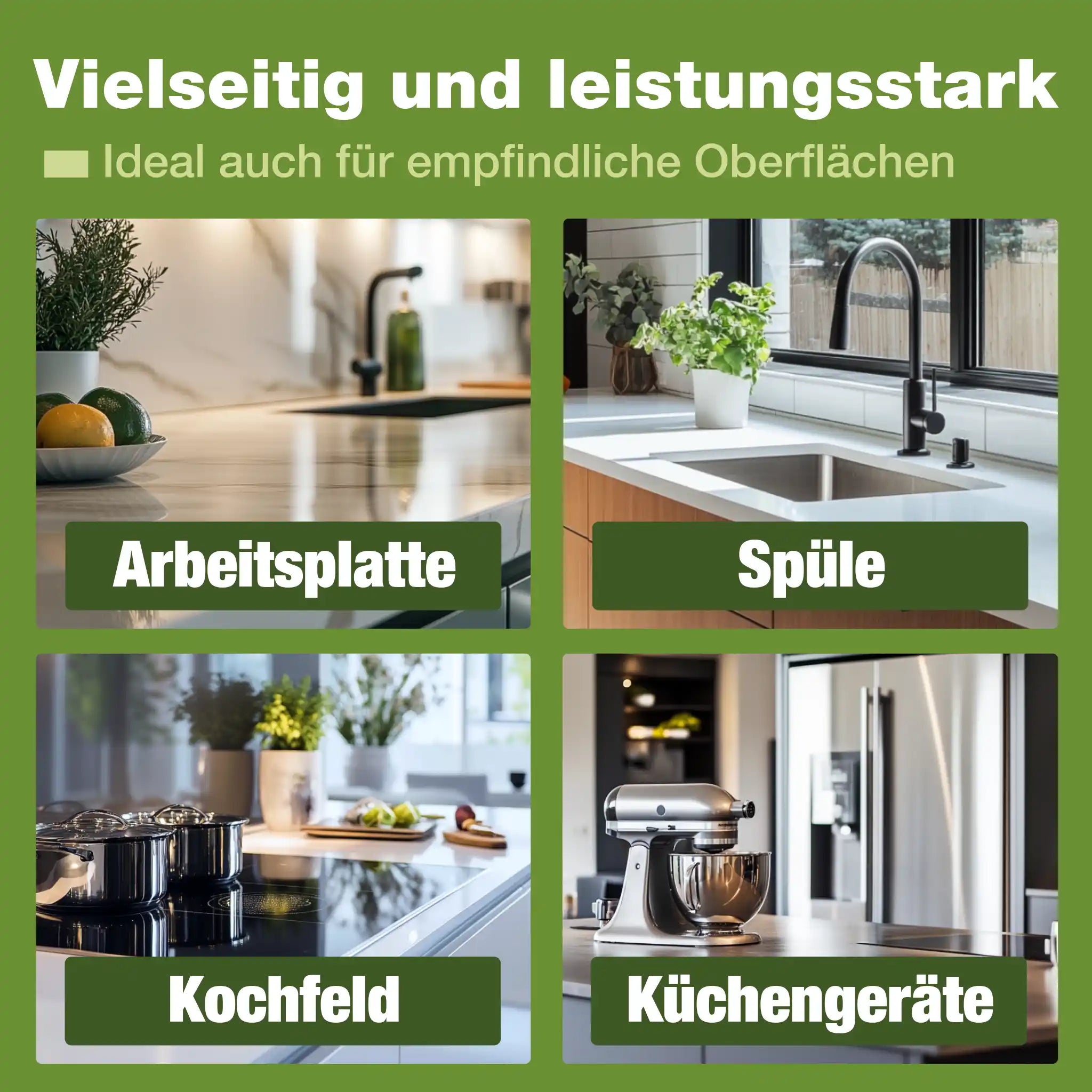 bio-chem Küchenreiniger