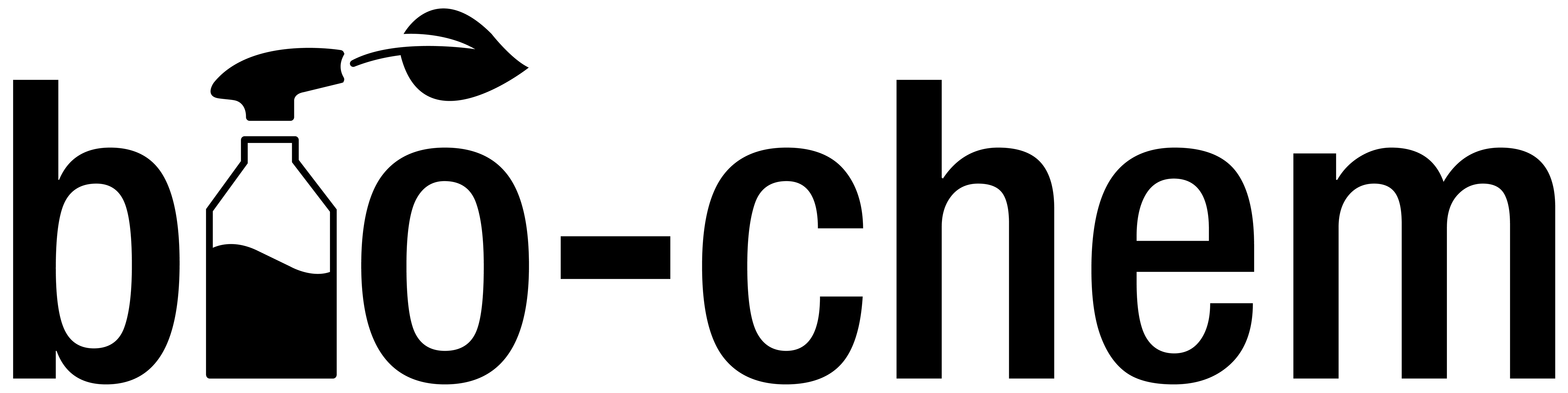 bio-chem Logo Schwarz