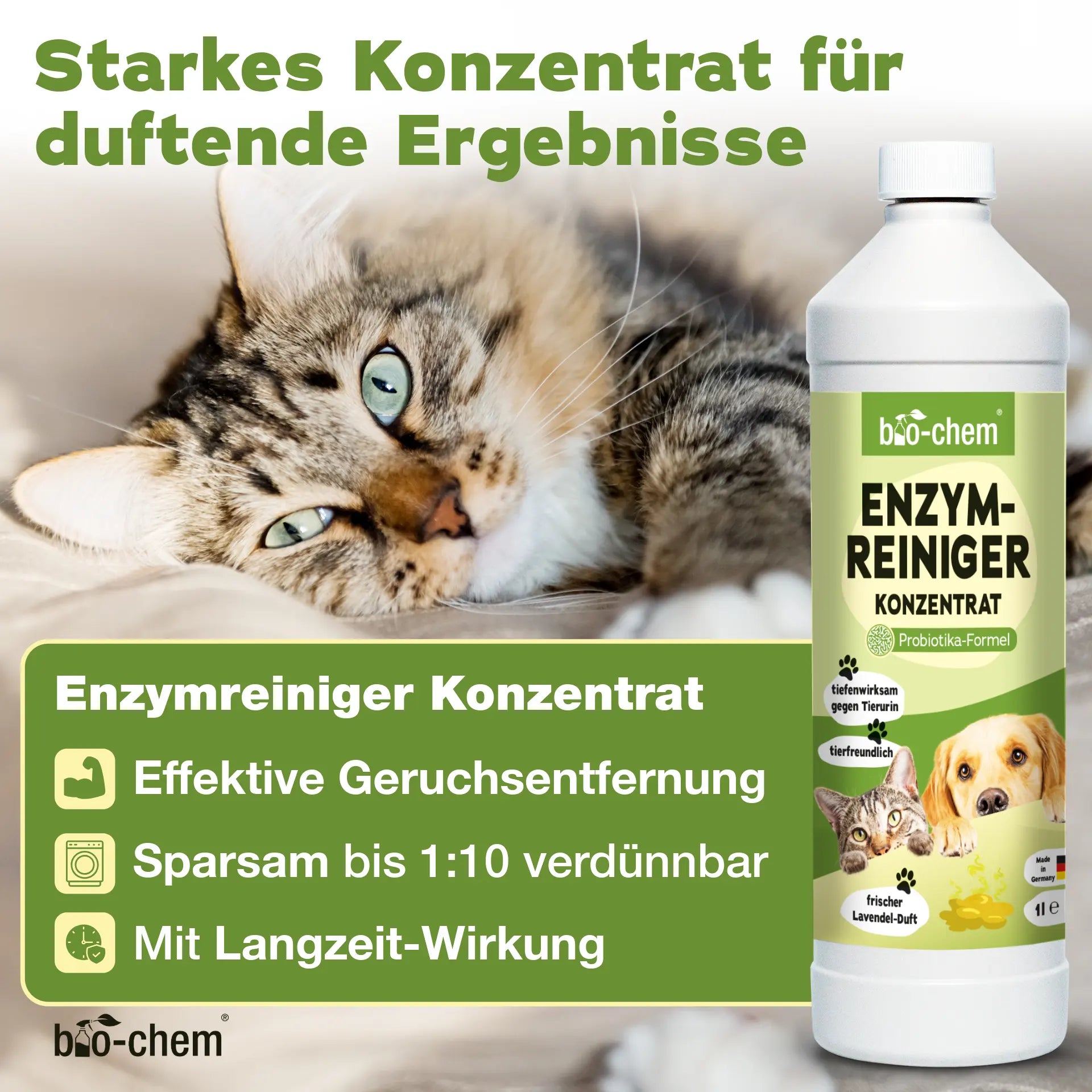 Geruchsentferner-Set Katze (3-teilig)