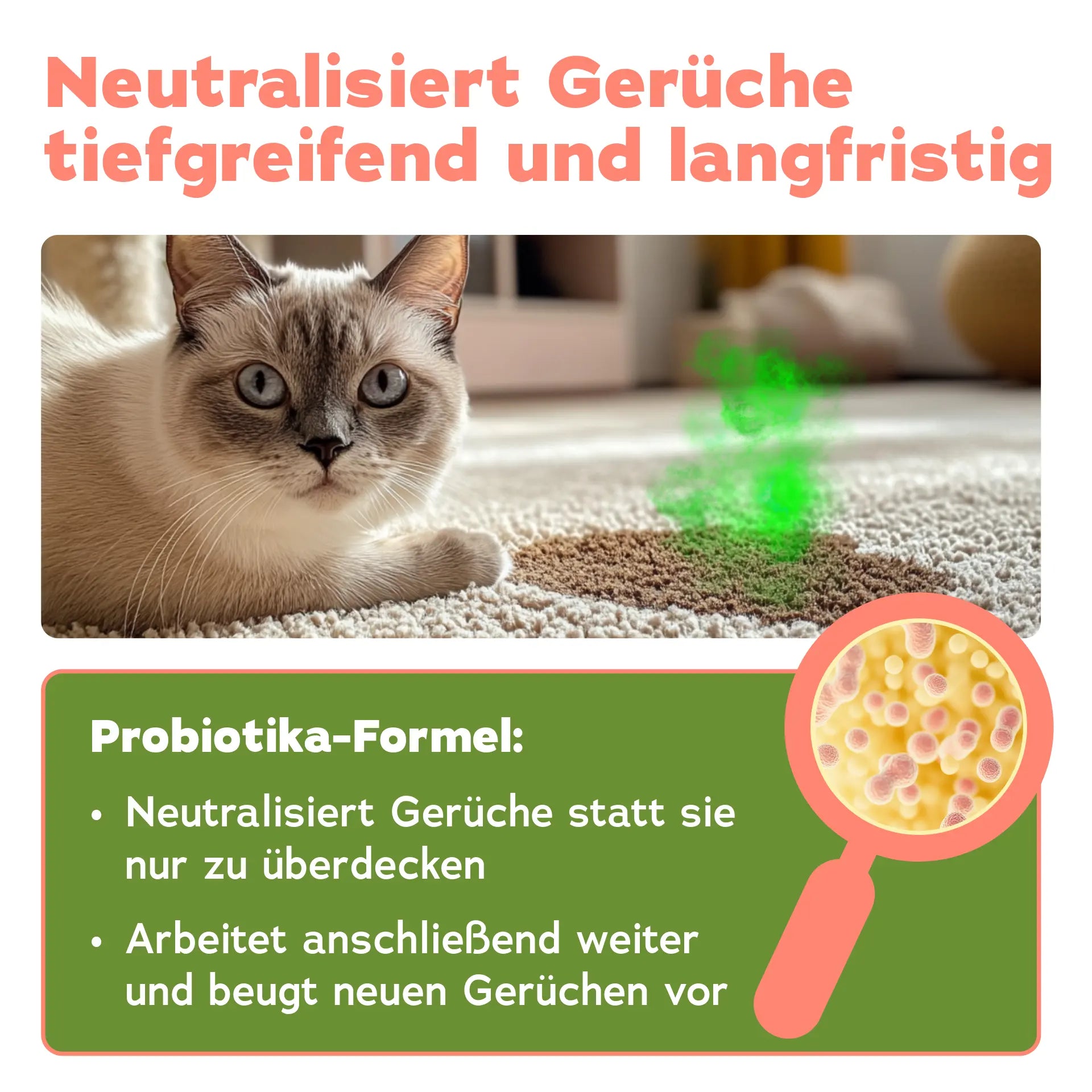 Geruchsentferner-Set Katze (3-teilig)