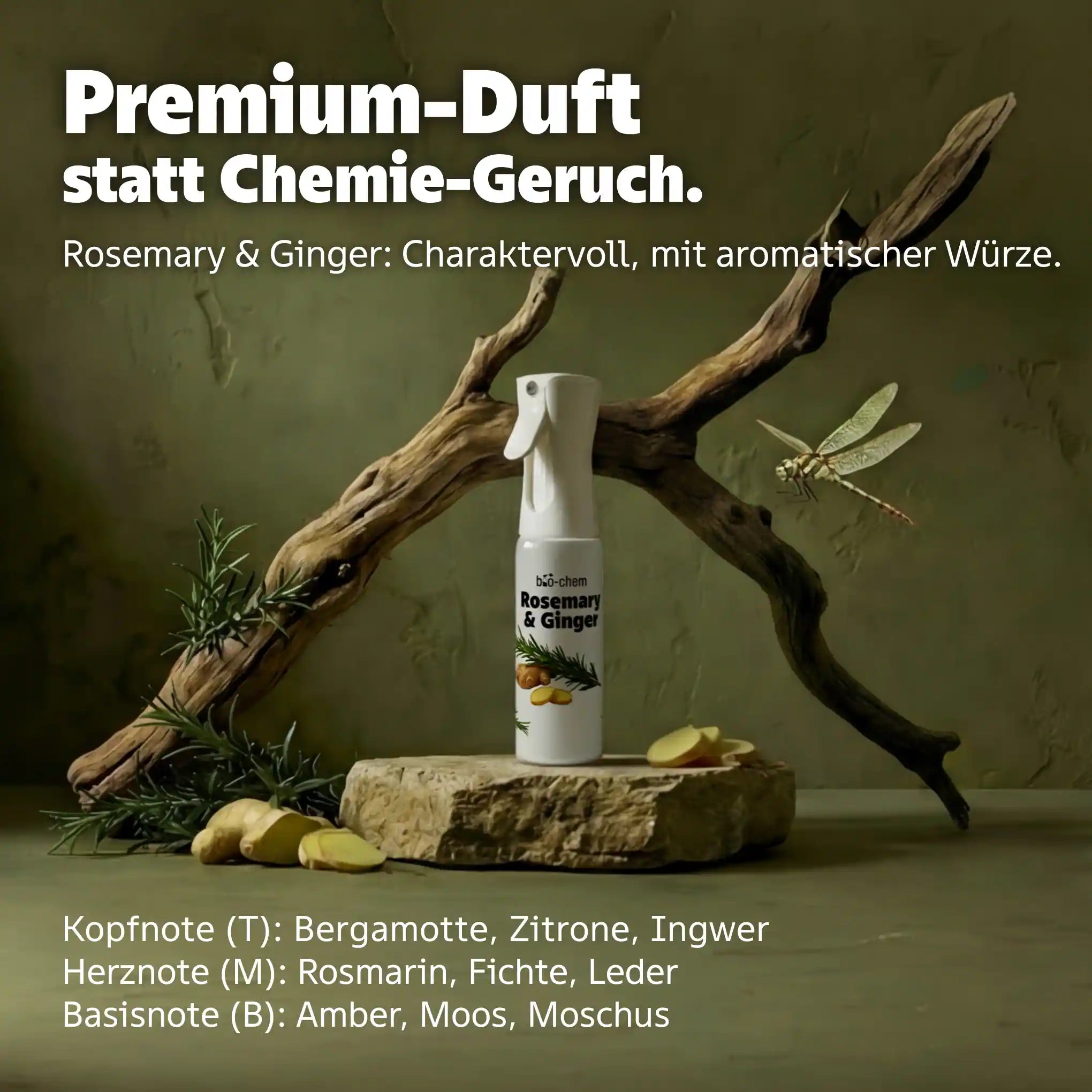 rosemary & ginger duft
