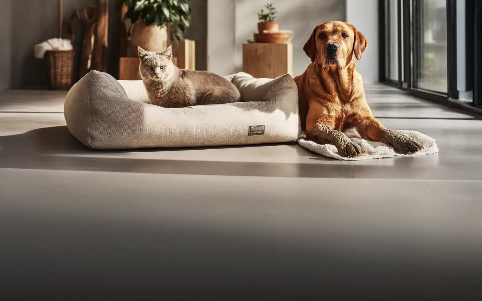 Gerüche & Haustiere