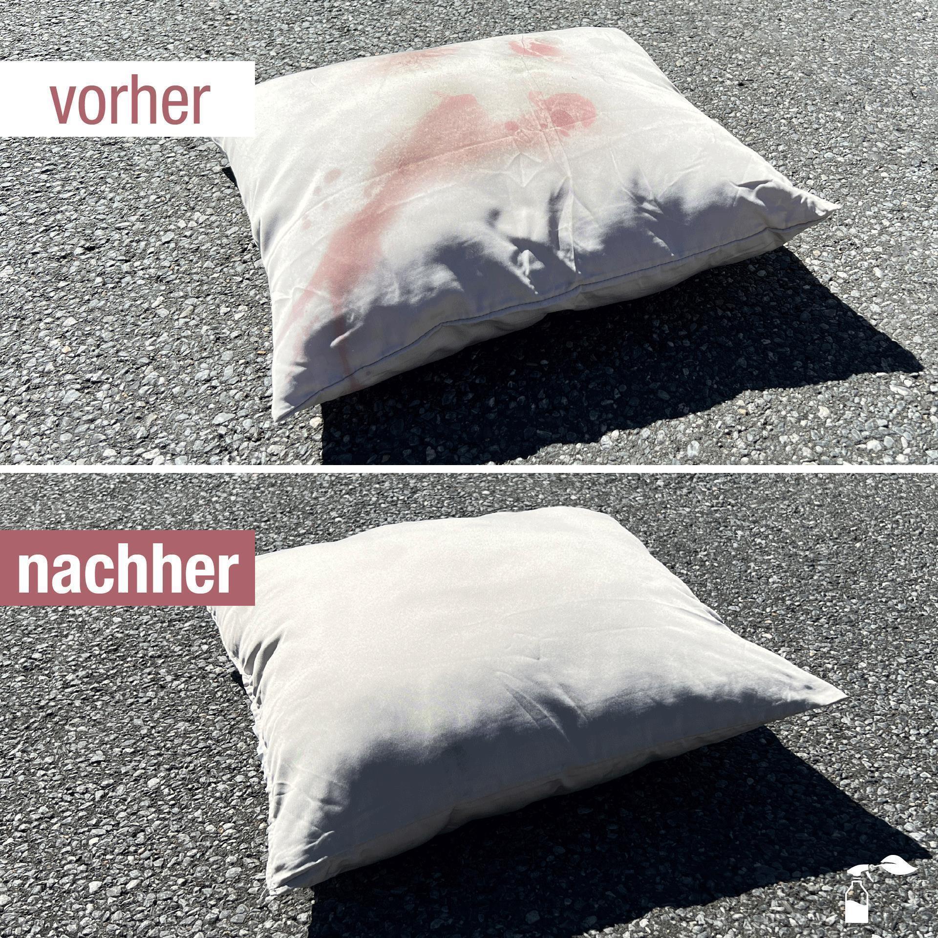 Polsterreiniger (500 ML)