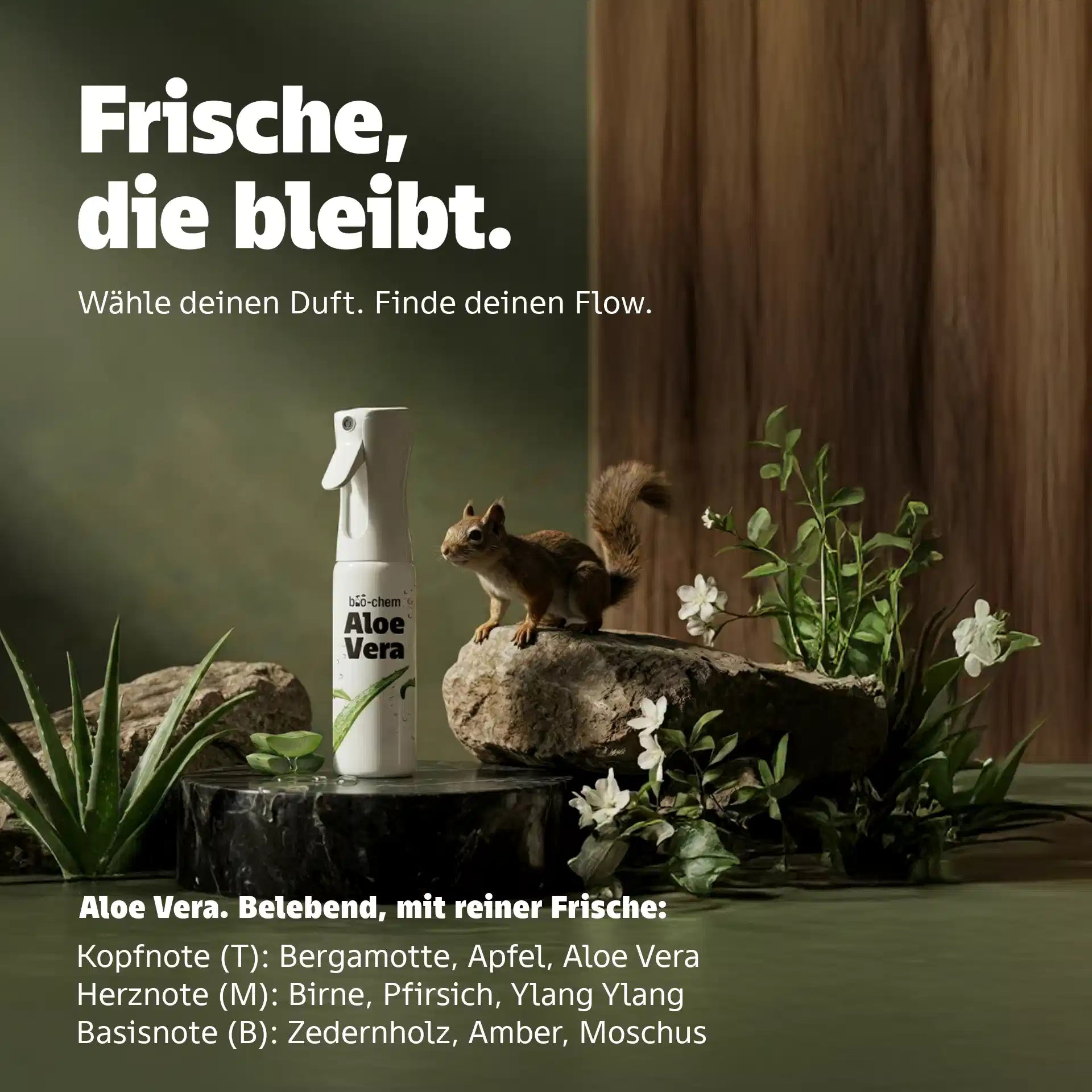 aloe vera duft the flow of clean