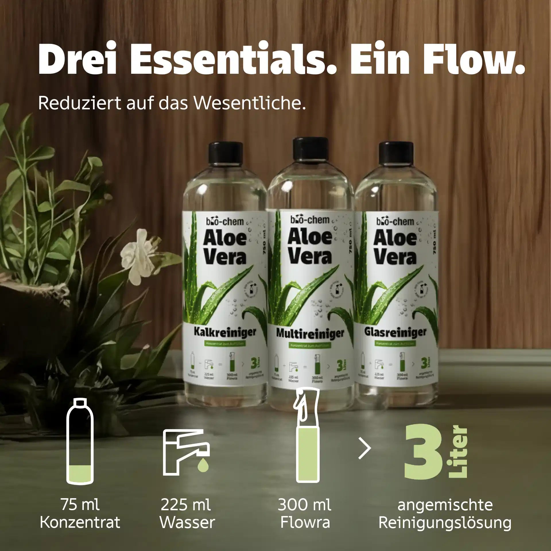 aloe vera glasreiniger konzentrat