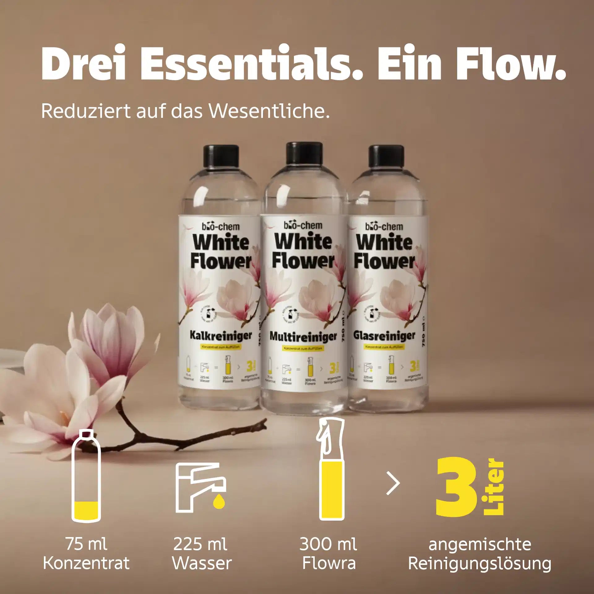 glasreiniger konzentrat white flower