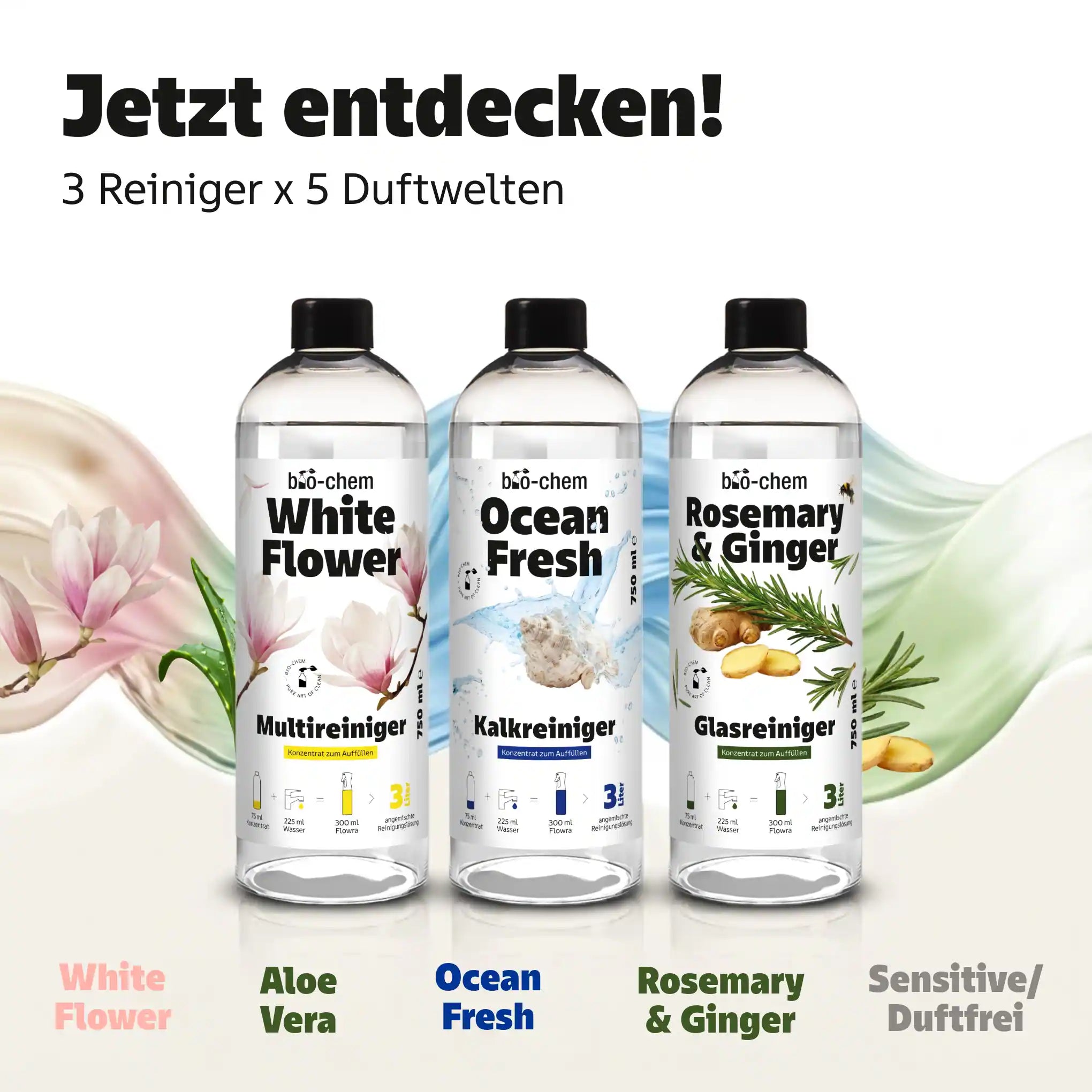 Sortiment Multireiniger Kalkreiniger Glasreiniger Konzentrate