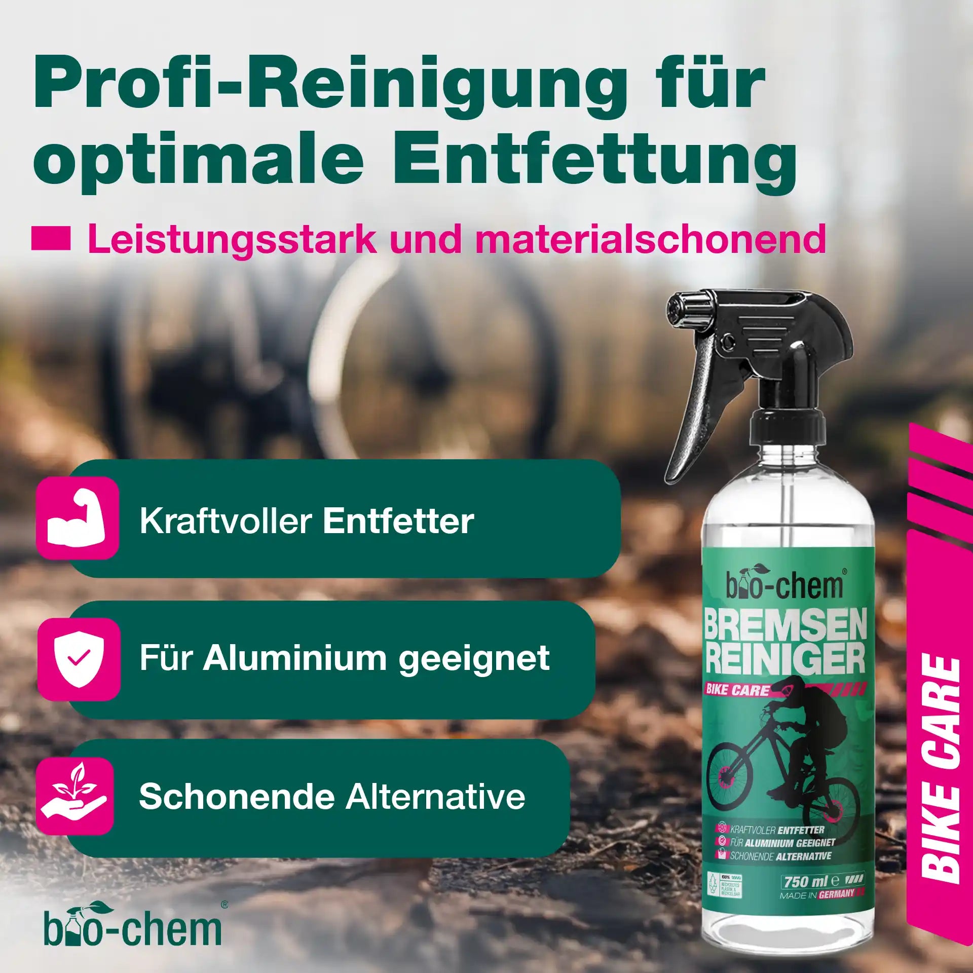 Bremsenreiniger (750 ML)