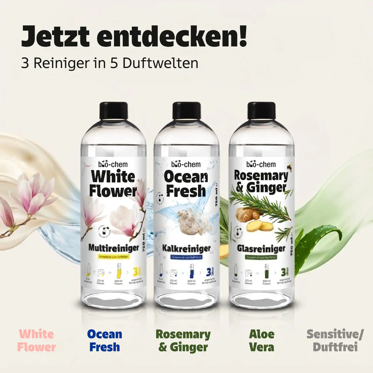 sortiment flow of clean reiniger