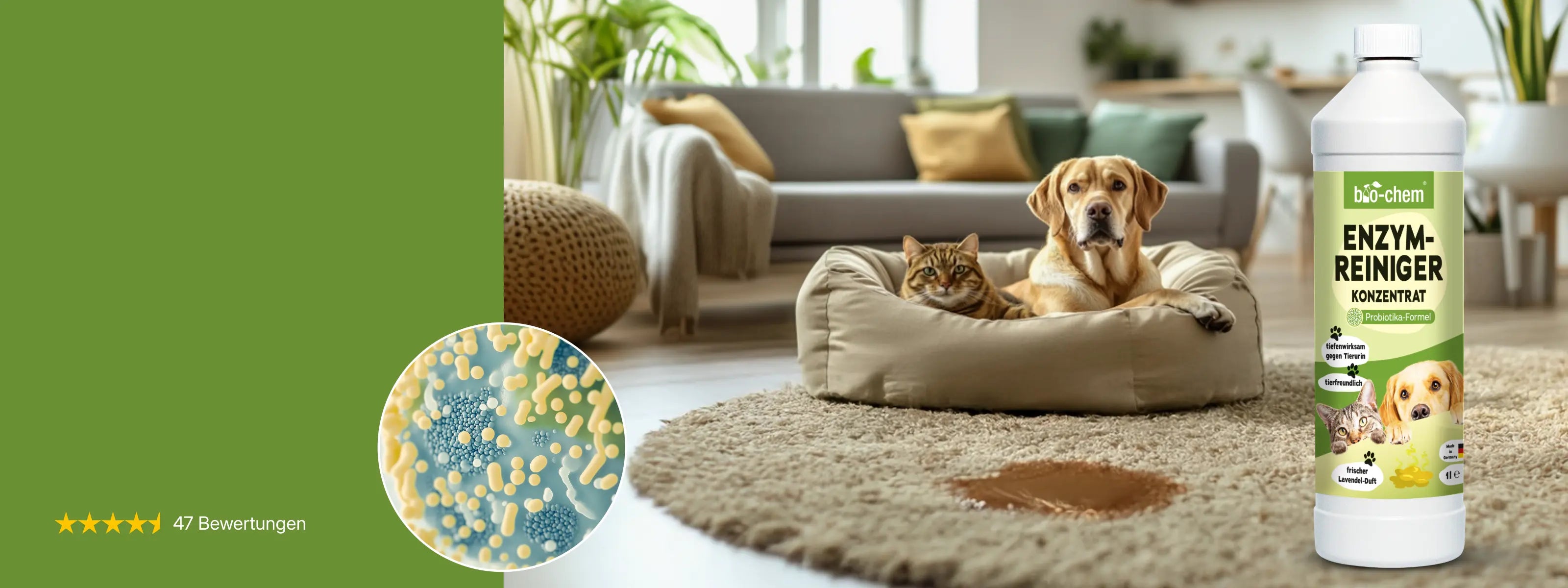 banner_enzymreiniger_desktop