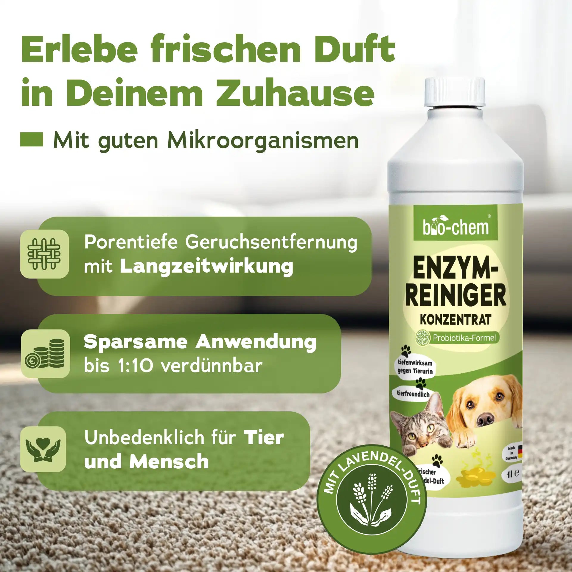 Vorteile Enzymreiniger Katzenurin Hundeurin