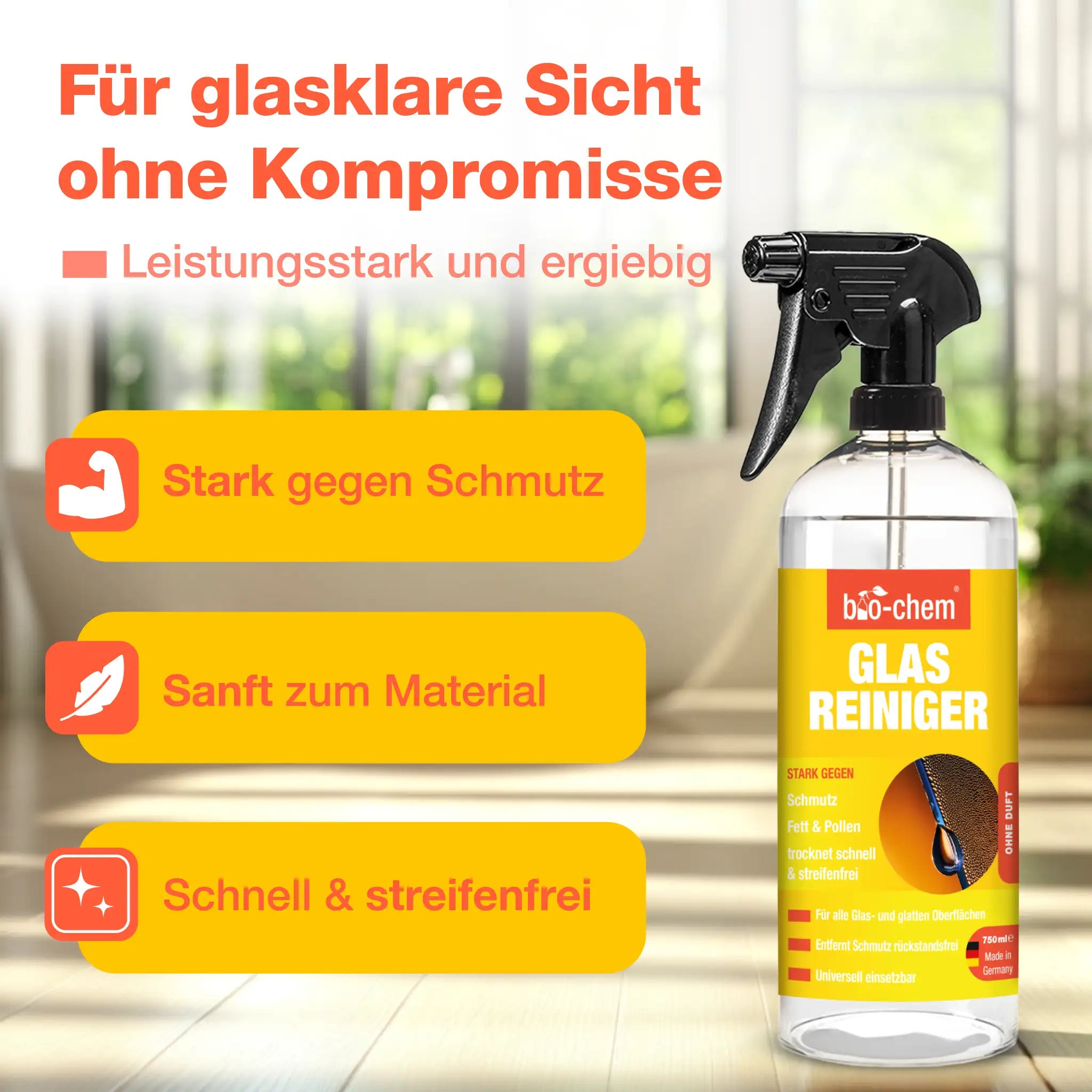 Glasreiniger (5 L)
