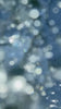 bio-chem Frischwassertankreiniger Video