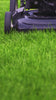 bio-chem Harzlöser Video
