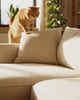 Enzymreiniger Katze Sofa