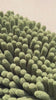 bio-chem Waschhandschuh Video
